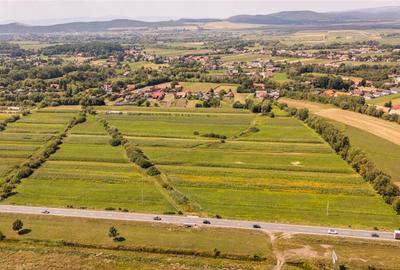 Teren extravilan Lunca Calnicului langa E574 - 11