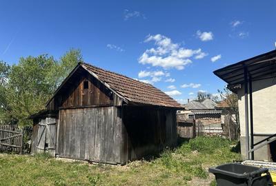 Casă cu 3 camere în Bușag - 5