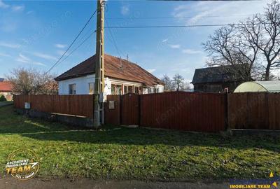 FILM! Casa cu sura, pivnita, balta cu pesti, 2.280 mp teren roditor, Lemnia, Covasna - 2