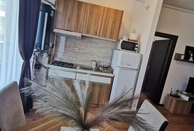 Apartament cu 2 camere semidecomandat, mobilat în Nord - 10