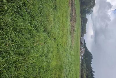 Teren de 5908 mp, în Poiana Stampei