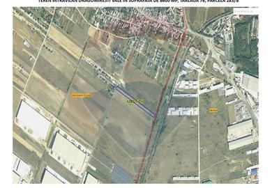 Teren intravilan de 8600 mp, în Dragomirești-Vale - 1