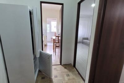 Garsonieră decomandată în Radu Negru - 8