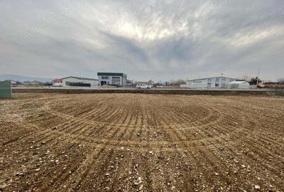 Spatiu Industrial, 912mp, Hala depozitare E85, Darmanesti. - 13