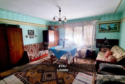 Casă cu 3 camere cu Teren 2460 Mp în Borlești - 10