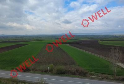 Teren intravilan de 5000 mp, în Bicfalău - 4