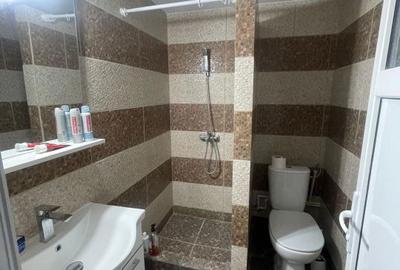Garsonieră decomandată în Craiovița Nouă - 7