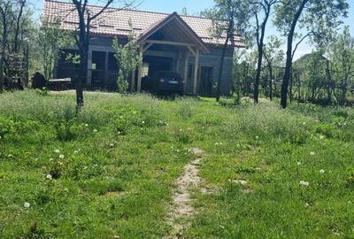 Casă cu 3 camere în Satu Nou de Jos - 7