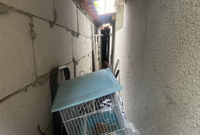 Casa / Vila zona Coiciu - 6