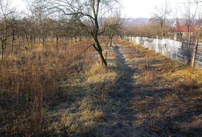 Casă cu 2 camere în Argeșani - 1