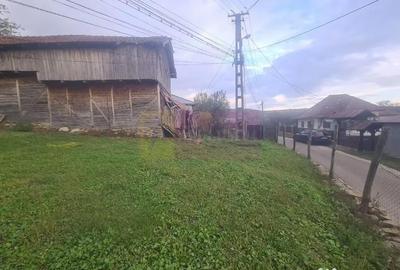 Casă cu 3 camere cu Teren 3410 Mp în Aluniș - 7