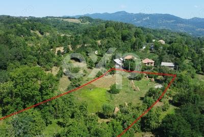 Teren Construcții intravilan de 6348 mp, în Corbeni - 7