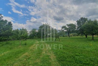Teren extravilan de 594 mp, în Sibiel - 1