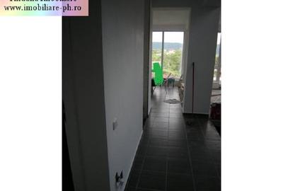 Tihuana Imobiliare:Vila de vanzare-Valenii de Munte(teren 2736 mp) - 16