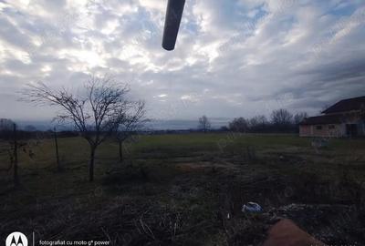 Casă cu 4 camere cu Teren 2600 Mp în Bozânta Mică - 7