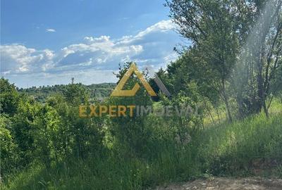 Teren de 815 mp, în Central - 7