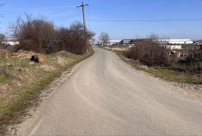 Spațiu comercial, în Borș - 6