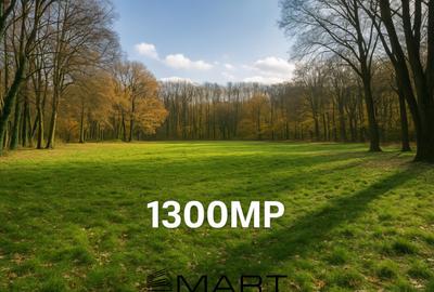 Teren cu vad exceptional 1300mp zona Subarini - 2