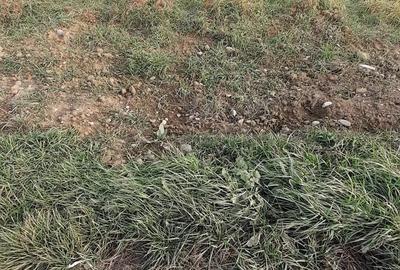 Teren de 810 mp, în Dumbrăvița