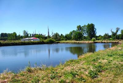 Teren 18.247 mp cu balta de pescuit Misca, Comuna Chi... - 1
