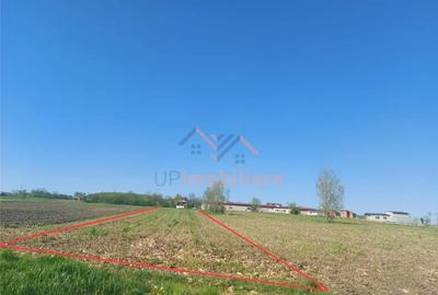 Teren de 4367 mp, în Hidiș - 2