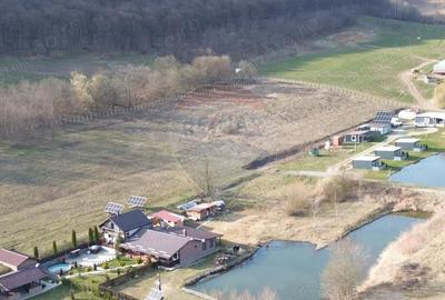 Teren de 7000 mp, în Hoghilag - 6