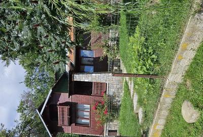 Casa + teren - 3