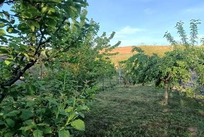 Casă cu 6 camere în Dumbrava (Gura Văii) - 1