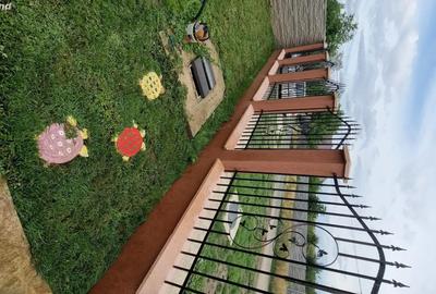 Casă cu 3 camere în Vinga - 10