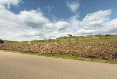 Teren de 2600 mp, în Cetariu - 9