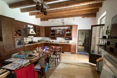 Piata Unirii-metrou Tineretului-Parcul Tineretului Piata Unirii-metrou Tineretului-Parcul Tineretului - 9