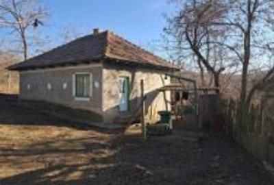 Casă cu 3 camere cu Teren 3300 Mp în Căzănești - 1