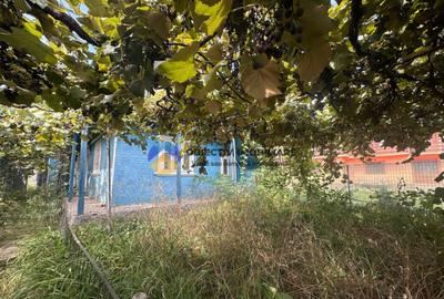 Teren + Casa de Vanzare 1170 mp Dumbrava Ro?ie, N - 3