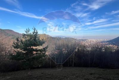 Teren Colinar Panoramic - 17.684 mp in Scheii Brasovului - 13