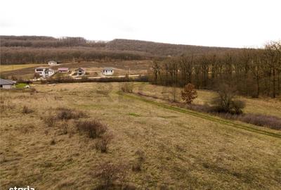 Spațiu comercial, în Betfia - 1