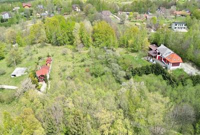 Teren intravilan Bran- Predelut - 29