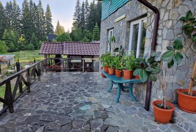 Casă cu 5 camere cu Teren 4900 Mp în Exterior Nord - 13