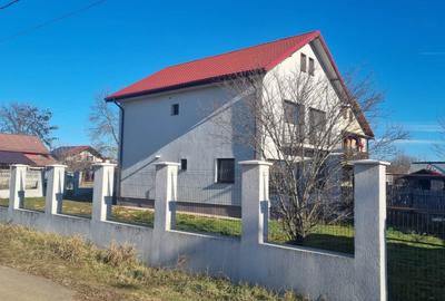 Vila Cocheta 5 Camere Peris - 29