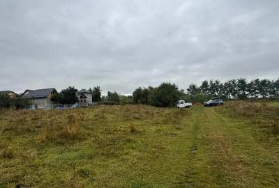 Teren de 10000 mp, în Moara - 15