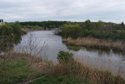 OCAZIE VANZARE TEREN CU DESCHIDERE LA LAC - 6