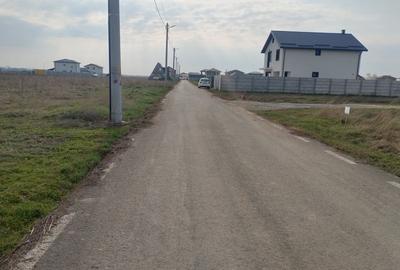 Teren Construcții intravilan de 1000 mp, în Dragomirești-Vale - 3