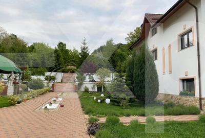 Casă individuală cu 10 camere cu Teren 20875 Mp în Păușești - 2
