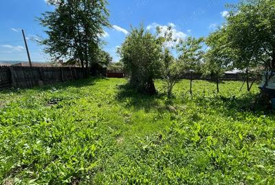 Casă cu 4 camere cu Teren 3600 Mp în Ciovârnășani - 6