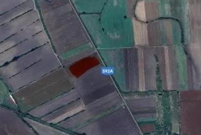 Teren de 23200 mp, în Sacoșu Turcesc