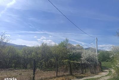 Teren de 554 mp, în Central - 5