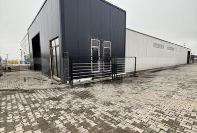 Hala industriala -zona Colanu - 3