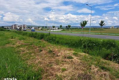 Teren de 9000 mp, în Turnișor - 3