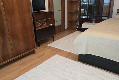 Garsonieră decomandată în Valea Ialomiței - 9