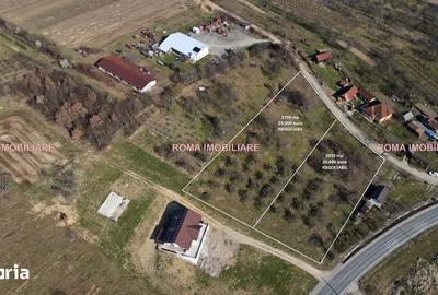 Teren de 6650 mp, în Remetea Chioarului - 9
