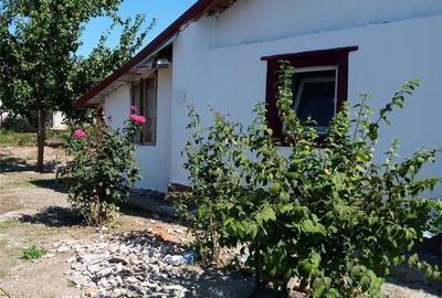 Casă cu 7 camere în Botoroaga - 9